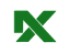 Nexein Logo